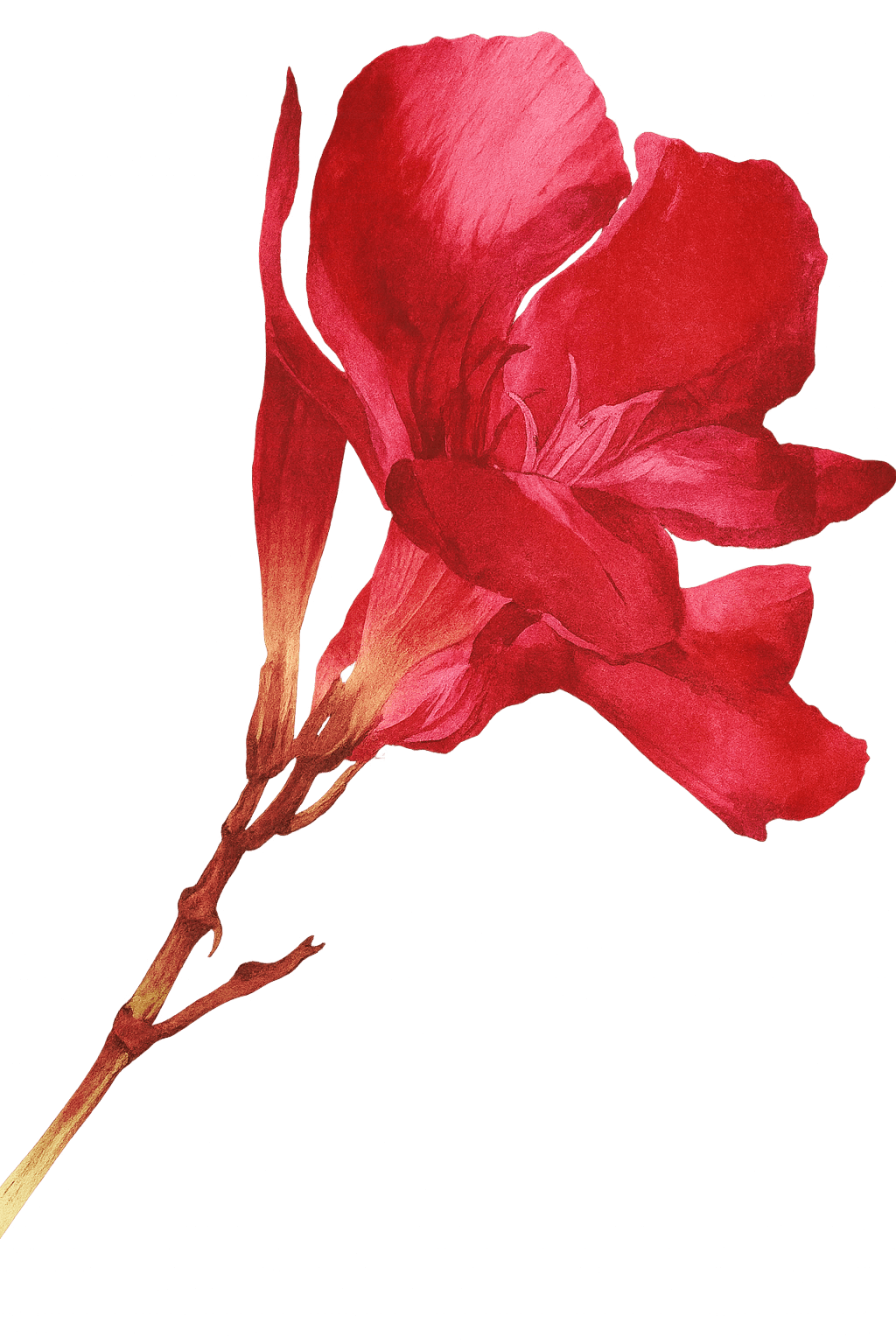 Chatgpt Image 28 Oct 2025 19 03 12